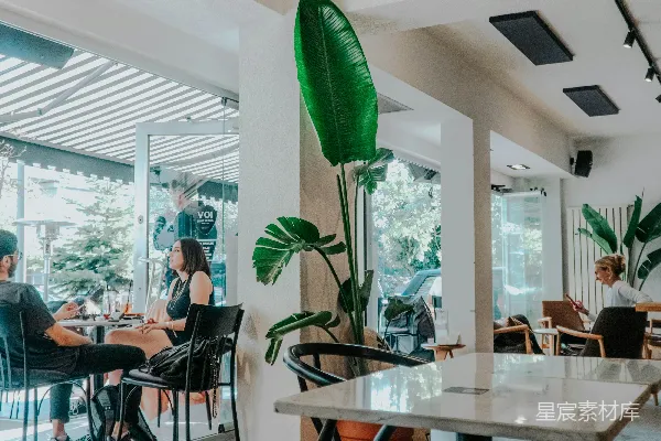 高清摄影 绿色叶子的植物放在棕色木桌上