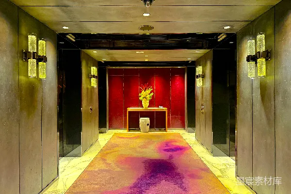 高清摄影 现代的走廊，配有抽象图案的地毯和花艺布置。