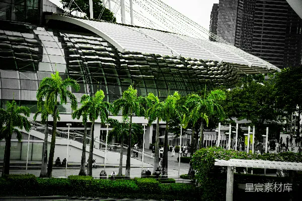 高清摄影 现代化建筑前的绿色棕榈树。