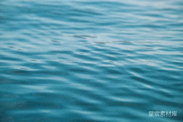 高清摄影 水体的浅景照片