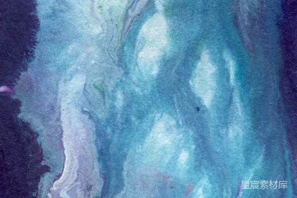 高清摄影 一幅蓝紫色的动物画