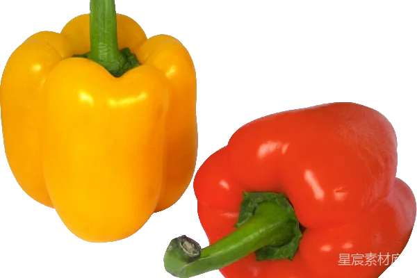 元素素材 Pepper