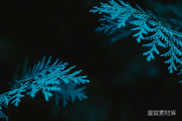 高清摄影 一组蓝白晶体