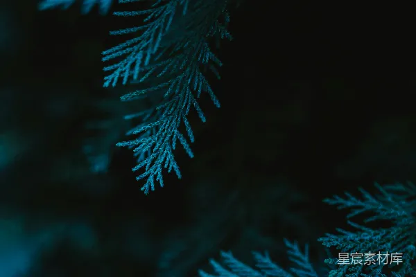 高清摄影 一张波浪的特写照片