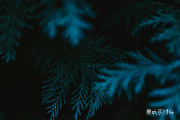 高清摄影 一片巨大的暴风雨云