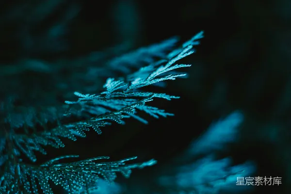 高清摄影 一张黑白岩石的特写照