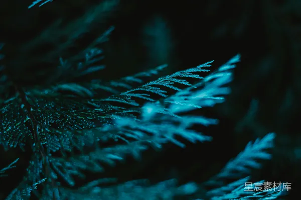 高清摄影 一张黑白波浪的特写照片
