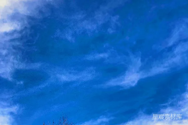 高清摄影 一片草地上的孤树，在多云的蓝色天空下