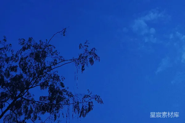 高清摄影 蓝天白云，树木点缀其间