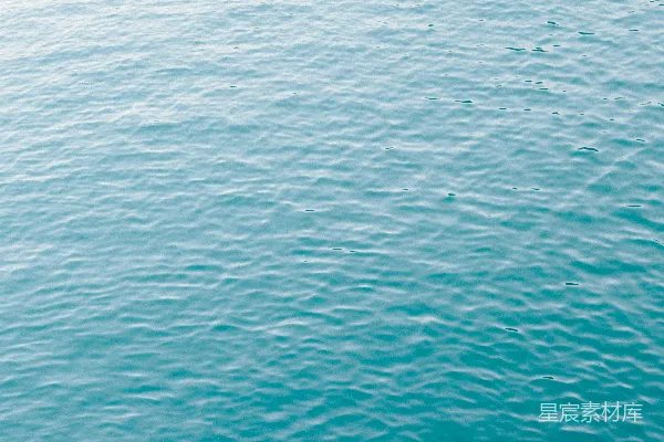 高清摄影 绿色海洋