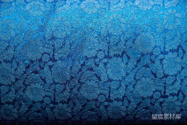 高清摄影 蓝色花卉图案，带有渐变效果