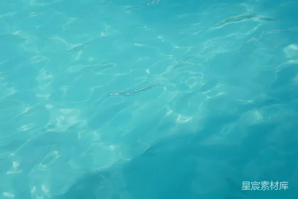 高清摄影 荡漾的碧蓝色水面映着阳光的倒影