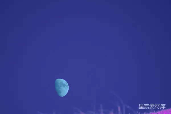 高清摄影 一个梦幻的景观，湛蓝的月亮悬挂在紫色草地上方
