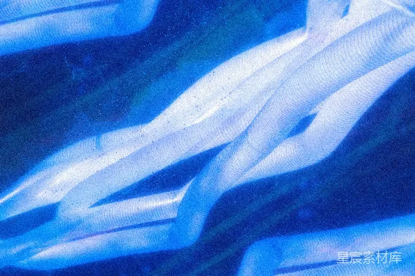 高清摄影 一群蓝白相间的物体漂浮在水中