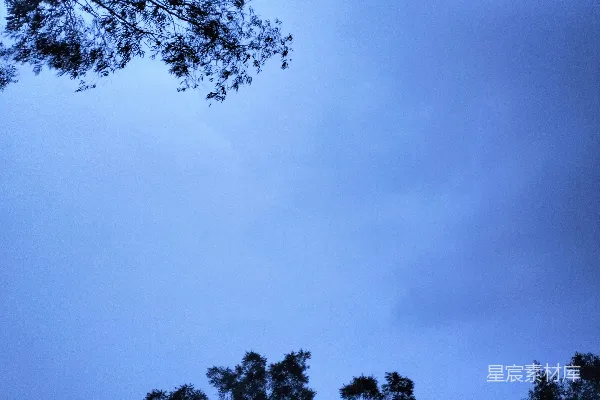 高清摄影 蓝天白云，树木成荫
