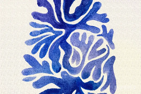 高清摄影 一幅白底蓝珊瑚的水彩画