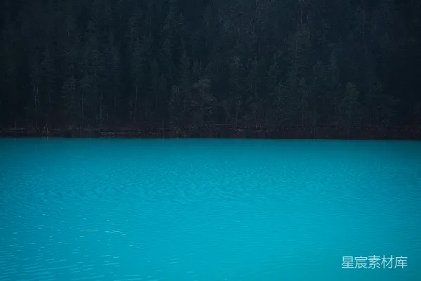 高清摄影 鲜艳的蓝绿色海水映衬着深色森林背景