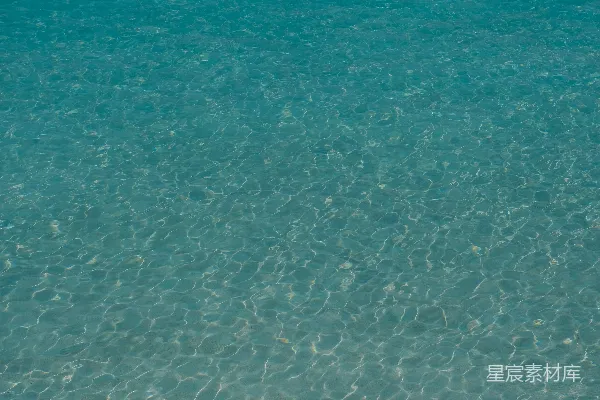 高清摄影 一个男人站在浅水中，手里拿着冲浪板。