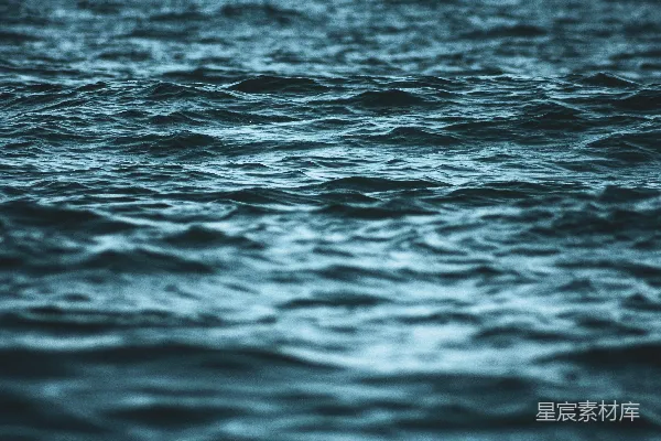 高清摄影 海洋旁边的水