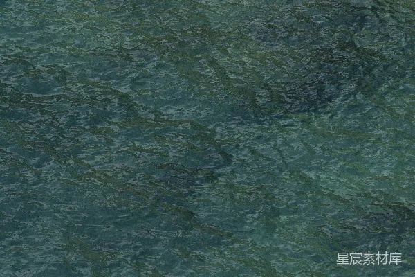 高清摄影 碧绿的水面波光粼粼。