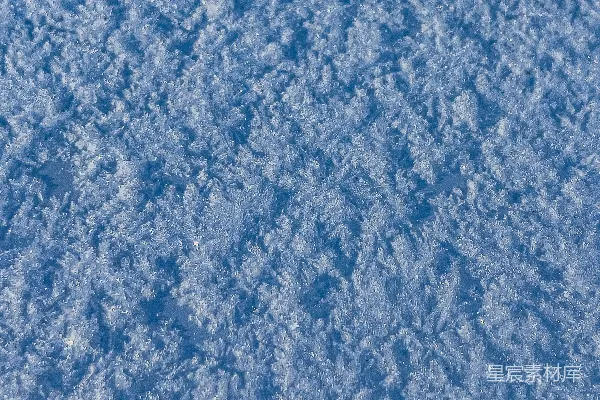 高清摄影 蓝色雪花的特写