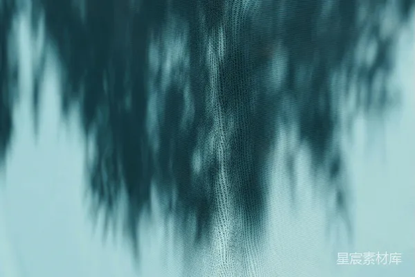 高清摄影 树木倒映在水面上的抽象景象。