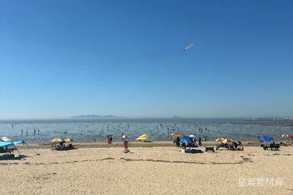 高清摄影 海滩爱好者们在阳光明媚的海滩上享受着好天气。
