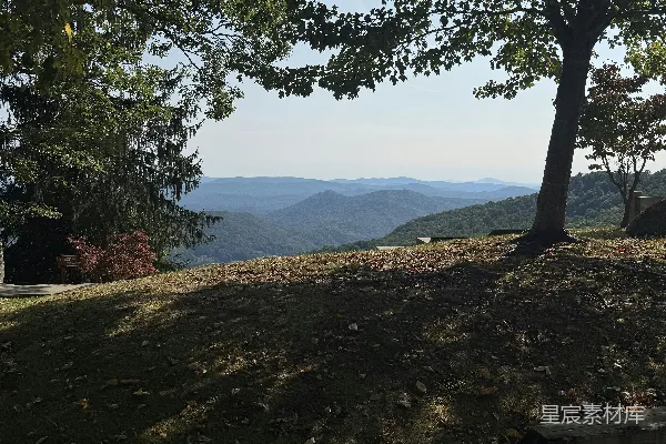 高清摄影 一座长椅坐落在山顶，旁边有一棵树。
