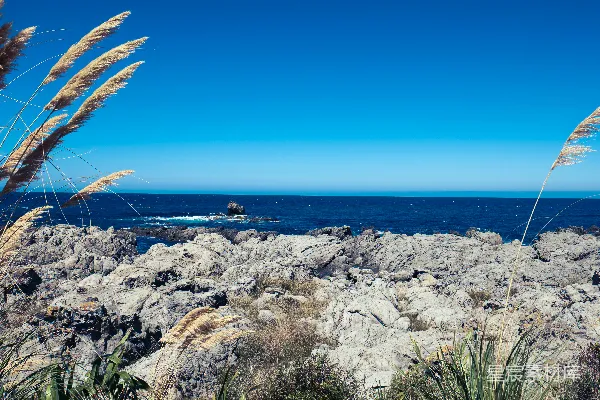 高清摄影 从岩石海岸眺望大海的景色