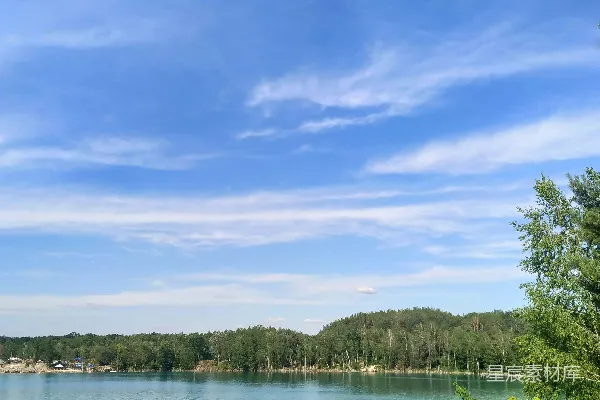 高清摄影 蓝天下的白天，水边的绿树