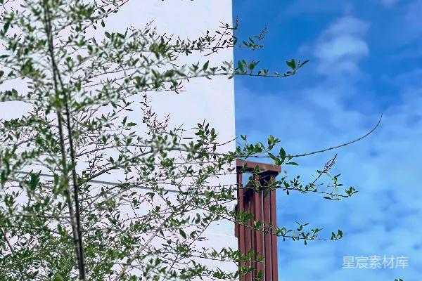 高清摄影 一座高大的建筑物，上面有一个时钟。