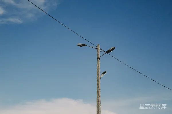 高清摄影 两只鸟坐在一根木杆的顶端