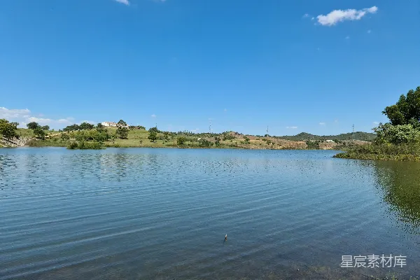 高清摄影 一片被树木环绕的水域