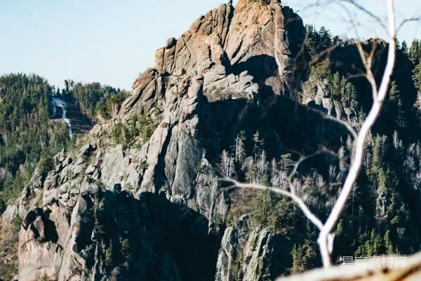 高清摄影 一座山的景象，前景中有一棵树