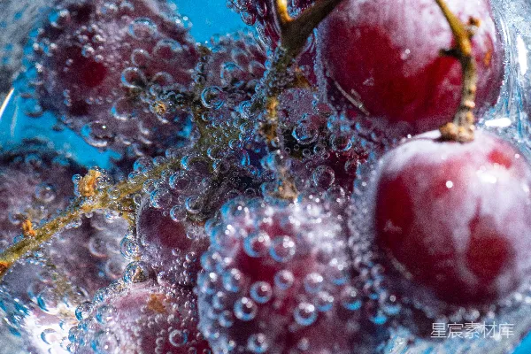 高清摄影 一个装满水和樱桃的玻璃碗