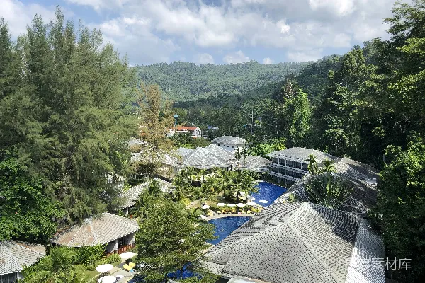 高清摄影 热带度假胜地，周围环绕着树木，有泳池。