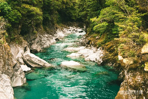 高清摄影 岩石和绿叶植物之间的湖泊风景照