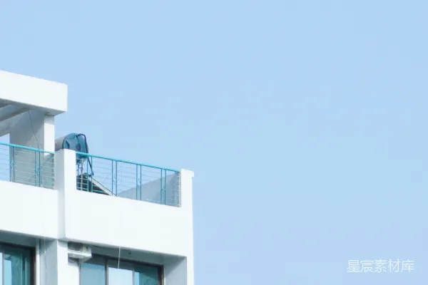 高清摄影 一只鸟在建筑物上
