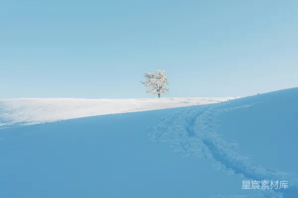高清摄影 一棵孤独的树矗立在积雪的山坡上。
