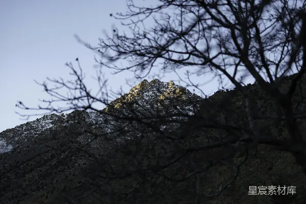 高清摄影 一座山的远景，前景中有一棵树。