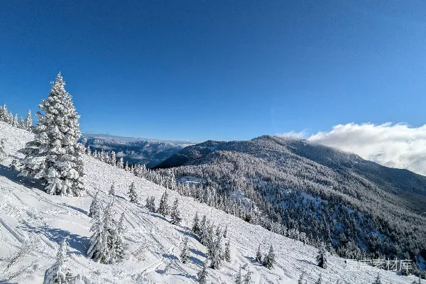 高清摄影 被雪覆盖的山峦，有树木和蓝天