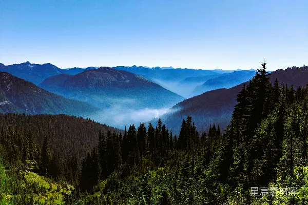 高清摄影 一条山脉的风景，前景中有一排树木。