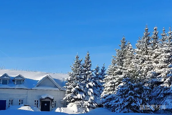 高清摄影 一座被积雪覆盖的树木包围的大白房子