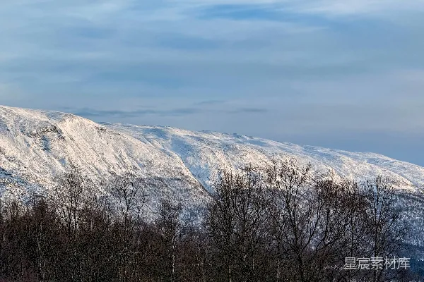 高清摄影 一座覆盖着积雪的山，前景中有树木。