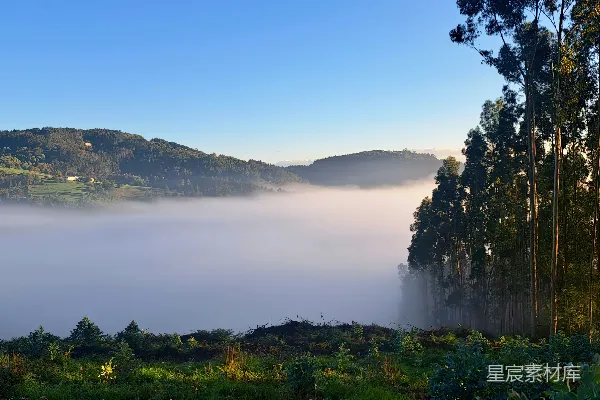 高清摄影 一幅山谷景色，前景是树木，背景是雾霭。