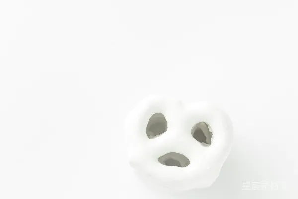高清摄影 白椒盐卷饼