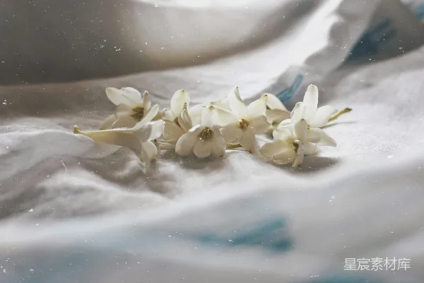 高清摄影 一床白色花朵