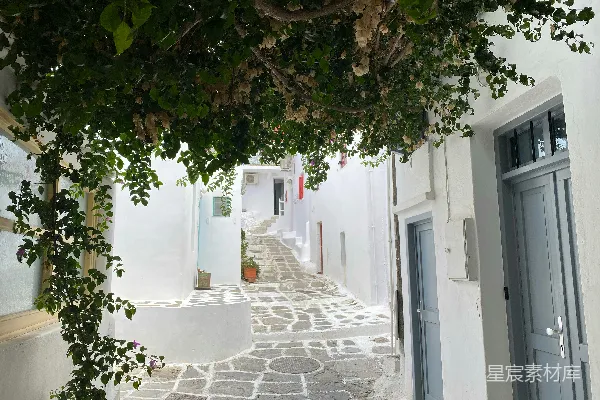 高清摄影 一条风景如画的白色小巷被绿植环绕。