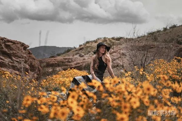 高清摄影 穿着黑色长袖衬衫的女人坐在白天的棕色草地上。