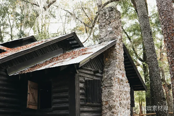 高清摄影 白天森林里的小屋